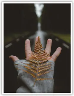 تابلو دکوراتیو طبیعت طرح برگ