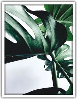 تابلو برگ سه تکه کد 27