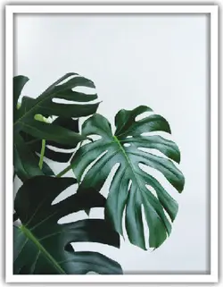 تابلو برگ سه تکه کد 27