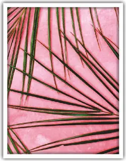 تابلو برگ سه تکه کد 33