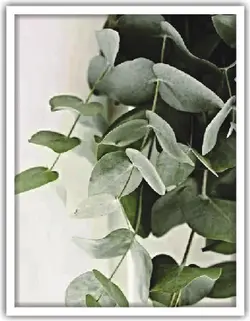 تابلو برگ دو تکه کد 50