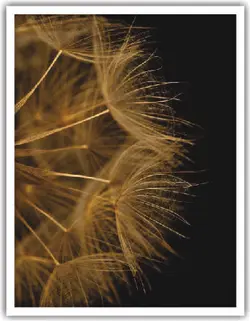 تابلو برگ یک تکه کد 73