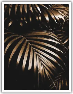 تابلو برگ سه تکه کد 111