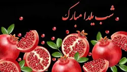 وکتور فارسی بنر و مجموعه انار شب یلدا - ایران پیک | پیکفری