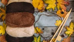 تصویر پس زمینه نمای بالا کاموا و برگ پاییزی - ایران پیک | پیکفری