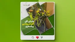 فایل لایه باز بنر اینستاگرام طرح گل فروشی - ایران پیک | پیکفری