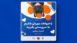 فایل لایه باز بنر فارسی طرح حمایت از حیوانات - ایران پیک | پیکفری