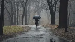 تصویر زن تنها با چتر و پیاده روی در روز بارانی - ایران پیک | پیکفری