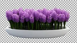 تصویر PNG مجموعه گل سنبل - ایران پیک | پیکفری