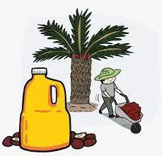 پرسشنامه استاندارد نگرش مصرف کننده به روغن پالم کیریستینسن و همکاران (2023) به همراه فایل داده SPSS