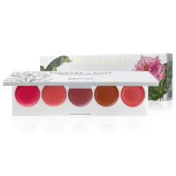 پالت کرمی رژ و رژگونه از برند سرافین بوتانیکالز Seraphine Botanicals Rhubarb + Rose – Creamy Lip & Cheek Palette
