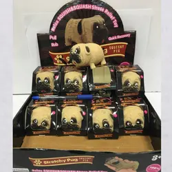 فیجت سگ تک جعبه