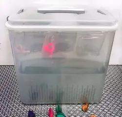 سرویس چای خوری6نفره34پارچه صدف