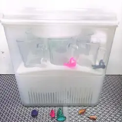 سرویس چای خوری6نفره34پارچه صدف