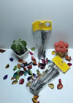 قاشق بستنی طرح استیل12عددی خارجی