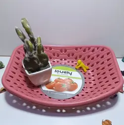 سبدنان سبزی3عددی لاولی