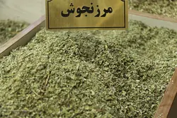 مرزنجوش