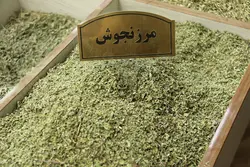 مرزنجوش