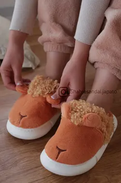 پاپوش زنانه بره
