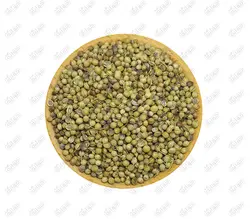 تخم گشنیز