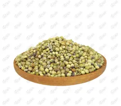 تخم گشنیز