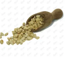 تخمه کدو نمکی