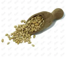 سویا خوراکی خام