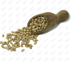 سویا خوراکی شور