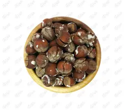 فندوق شور با پوست