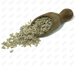مغز تخمه آفتابگردان
