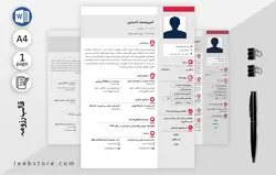 قالب رزومه حرفه ای صورتی