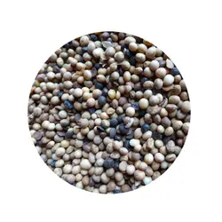 دانه نیم سوز سویا