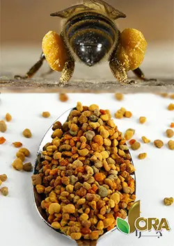 گرده گل – 90 گرمی