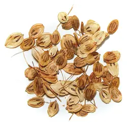 گلپر تازه -75 گرمی