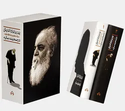 پیر پرنیان اندیش (در صحبت سایه)