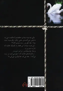 در پس نقاب
