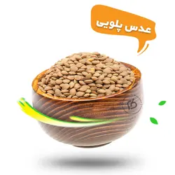 عدس پلویی