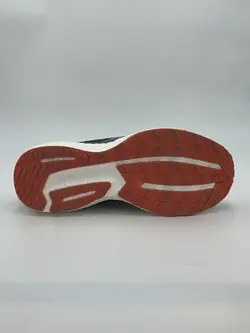 ساکونی تریموف ۱۹ SauconyTriumph19