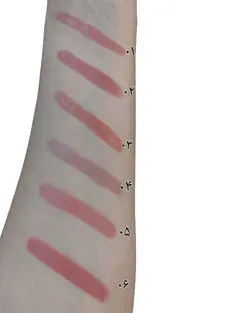 رژ لب برند تاتو مدل نود