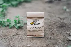 ادویه کالباس لیونر اسپایسی