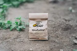 ادویه ناگت مرغ