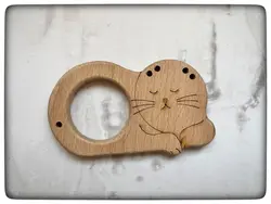 دندانگیر نوزاد