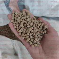 خرید غذای ماهی کپور (پلیت)