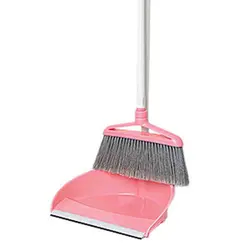 جارو ایستاده گلچین