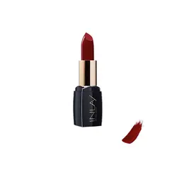 رژلب جامد شماره 460 این لی مدل Spicy Girl