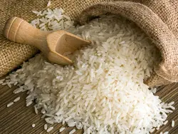 خرید برنج عنبربو چمپا طلای سفید خوزستان معطر و ممتاز با تضمین کیفیت ( ۱۰ کیلویی )