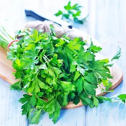 سبزی جعفری خشک (100 گرمی)