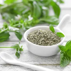 سبزی نعنا خشک (100 گرمی)
