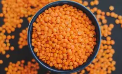 دال عدس (800 گرمی)