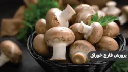 دوره جامع پرورش قارچ خوراکی